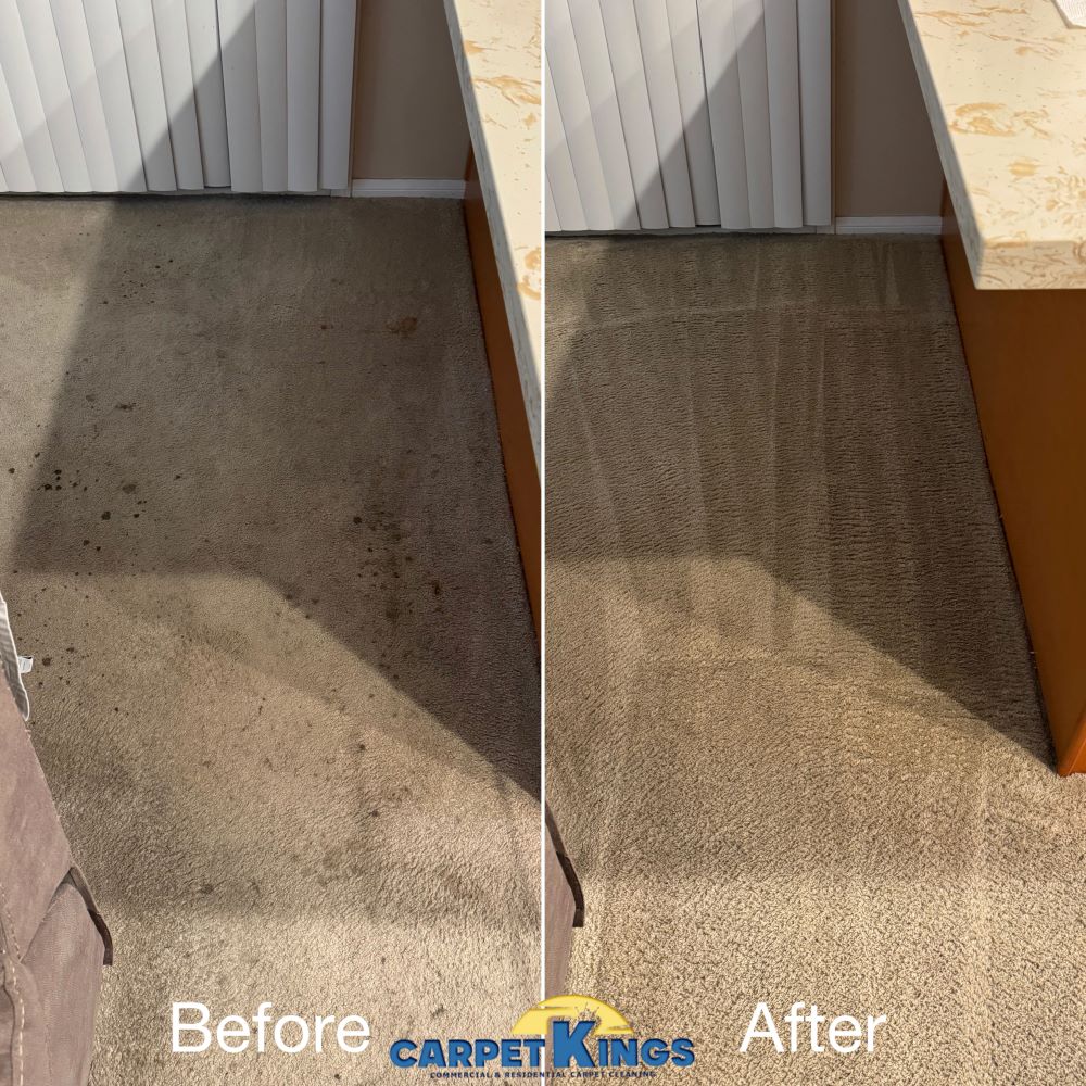 Carpet cleaning before and after removing deep stains and restoring carpet color